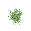 Pemberly Row Set of 2 Artificial Eucalyptus Plants 16