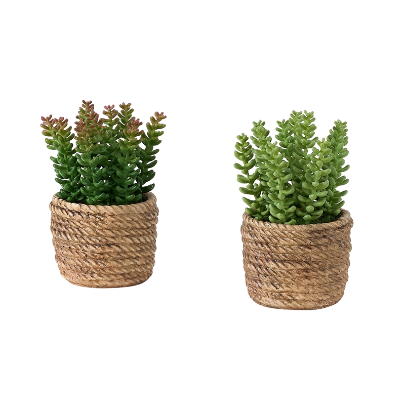 Pemberly Row Set of 2 Artificial Succulents 7