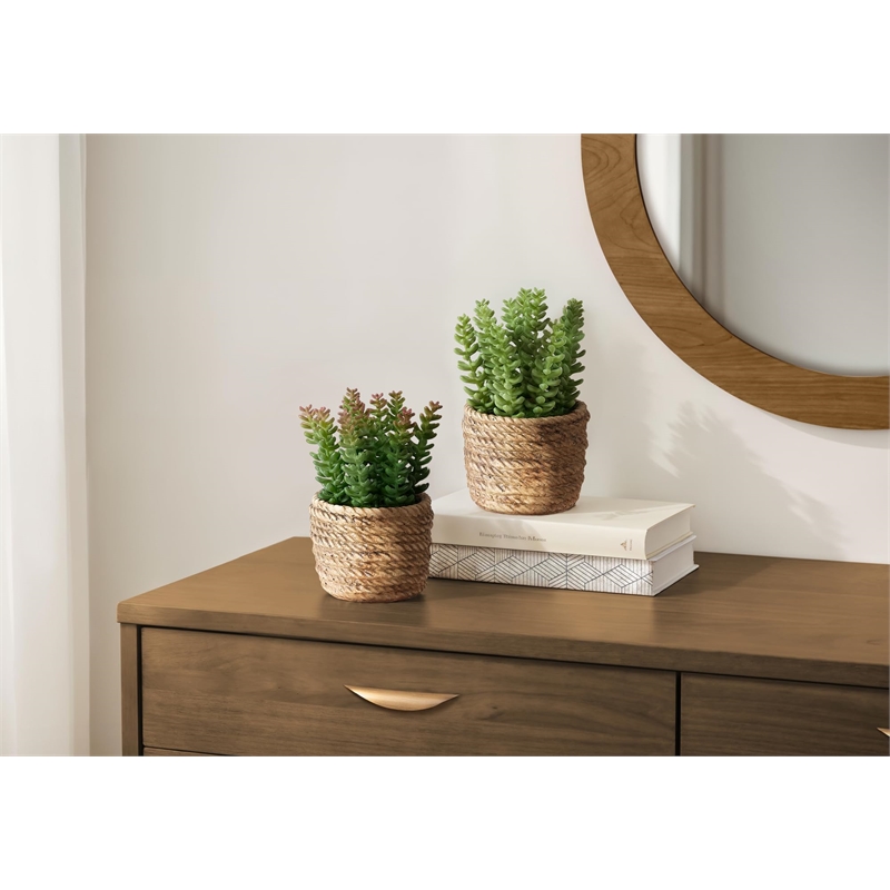 Pemberly Row Set of 2 Artificial Succulents 7