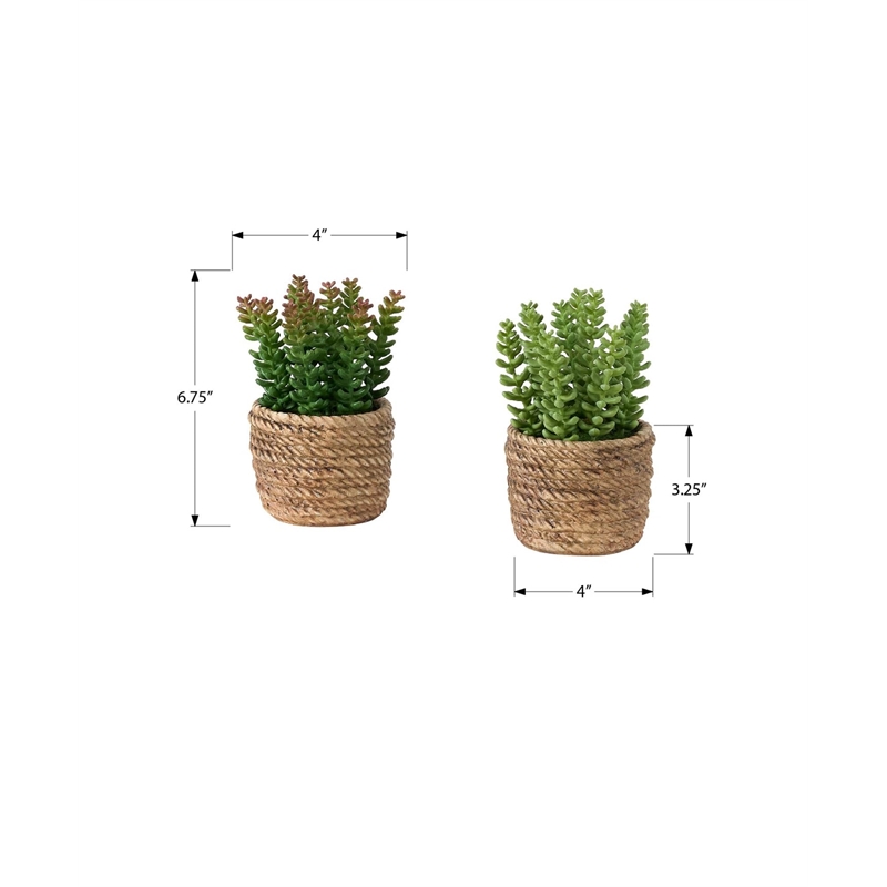 Pemberly Row Set of 2 Artificial Succulents 7