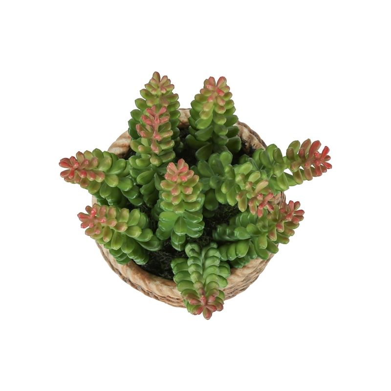 Pemberly Row Set of 2 Artificial Succulents 7