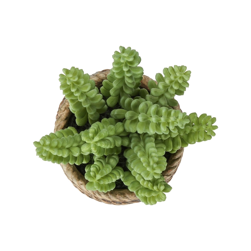 Pemberly Row Set of 2 Artificial Succulents 7