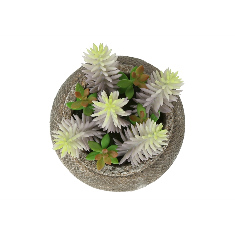 Pemberly Row Set of 2 Artificial Succulents 8