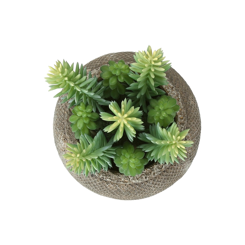 Pemberly Row Set of 2 Artificial Succulents 8