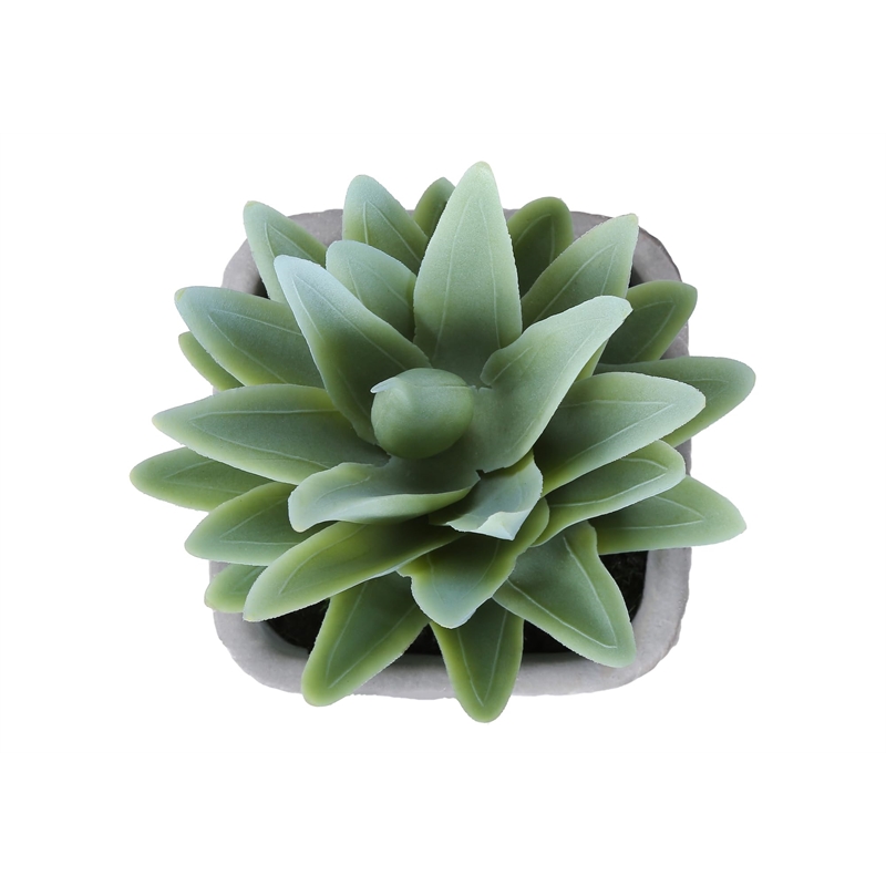 Pemberly Row Set of 2 Artificial Succulents 8