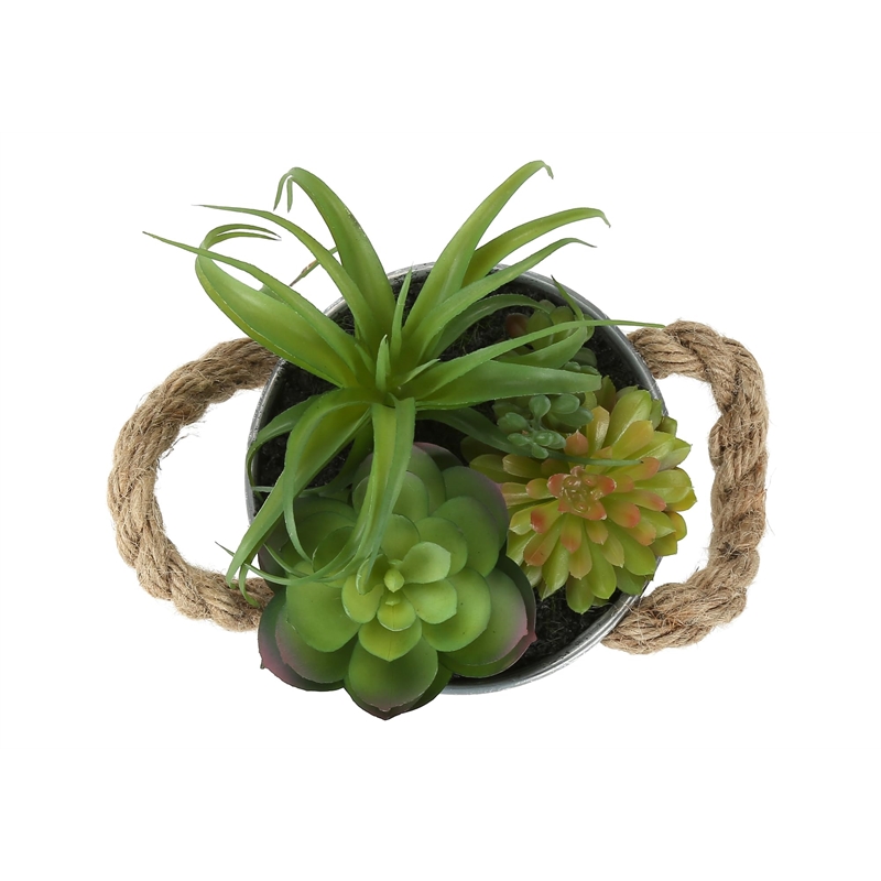Pemberly Row Set of 2 Artificial Succulents 7