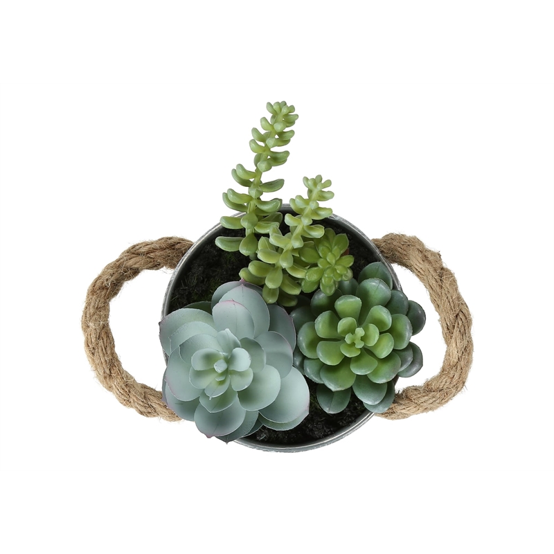 Pemberly Row Set of 2 Artificial Succulents 7