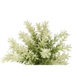 Pemberly Row 2-Pc Artificial Mulberry Grass Plants 12