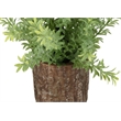 Pemberly Row 2-Pc Artificial Mulberry Grass Plants 12