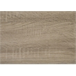 Pemberly Row Queen Metal Platform Bed with Dark Taupe Laminate Paneling