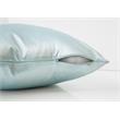 Pemberly Row 18x18 Satin Accent Throw Pillow in Mint Blue Polyester