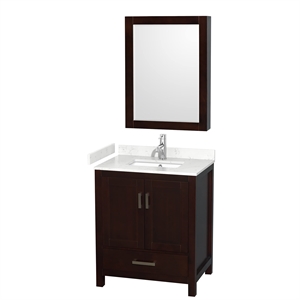 Pemberly Row 30&quot 2-door Metal Single Bathroom Vanity in Espresso