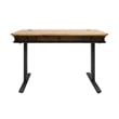 Pemberly Row Executive Electric Sit-Stand Desk w/ Solid Wood Plank Top in Brown