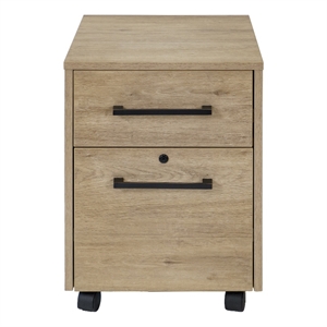 Pemberly Row 2-Drawer File Cabinet with Lock - Fully Assembled in Light Brown