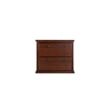 Pemberly Row 2-Drawer Wood Lateral File Cabinet w/ Ball Bearing Glides in Brown