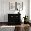 Pemberly Row Modern Wood Locking Lateral File Cabinet Fully Assembled in Black