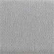 Pemberly Row Set of 2 Sled Base Lounge Chairs in White & Gray