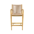 Pemberly Row Acacia Wood and Rope Bar Stool in Tan and Honeycomb