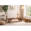 Pemberly Row Contemporary Acacia Wood Accent Plant Table in Chestnut