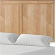 Pemberly Row Queen Bed with Plank Headboard and Molding in Natural Oak Brown