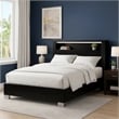 Pemberly Row King Bed with LED Bookcase Shelf in Black and Chrome