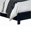 Pemberly Row King Bed with Wingback Headboard in Black Velvet Upholstery