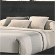 Pemberly Row Queen Size Bed with Lighted Headboard and Shelves in Black