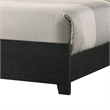 Pemberly Row Queen Size Bed with Lighted Headboard and Shelves in Black