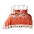 Pemberly Row 3 Pc Queen Bedspread & Pillow Sham Set in Bouquet Print Multicolor