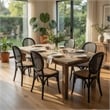 Pemberly Row Dining Chair Set of 2 in Matte Black with Rattan Woven Back & Seat