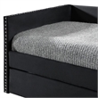 Pemberly Row Daybed with Pull Out Trundle and Nailhead Trim in Black Velvet