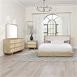 Pemberly Row 4 Pc Queen Bedroom Set with Resin Cane & USB Charging in Beige Oak