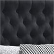 Pemberly Row Fabric Upholstered Queen Bed with Bottom Storage Drawers in Black