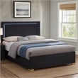 Pemberly Row Queen Platform Bed with Panel LED Headboard in Black Melamine