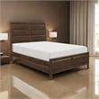 Pemberly Row Queen Bed with Beveled Panel Headboard in Brown Okume Veneer