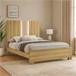 Pemberly Row Queen Size Bed with Built In Light White Trim Brown Driftwood