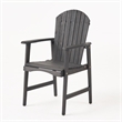 Pemberly Row Outdoor Dining Chair Set of 2 Adirondack in Dark Gray Acacia Wood