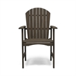 Pemberly Row Outdoor Dining Chair Set of 2 Adirondack in Taupe Gray Acacia Wood