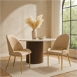 Pemberly Row Dining Chair Set of 2 Champagne Faux Leather Gold Metal Accents