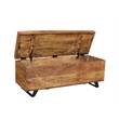 Pemberly Row Solid Wood Storage Chest on Iron Base in Natural