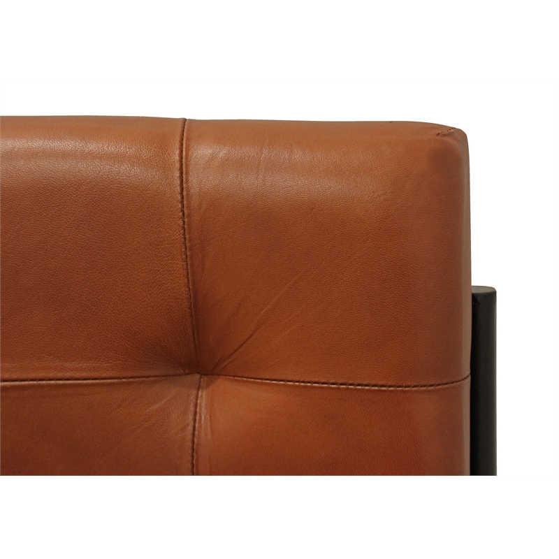 Pemberly Row Leather Side Chair with Stitching on Cast Iron Frame in Mahogany