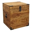 Pemberly Row Solid Mango Wood Trunk End Table with Storage in Natural