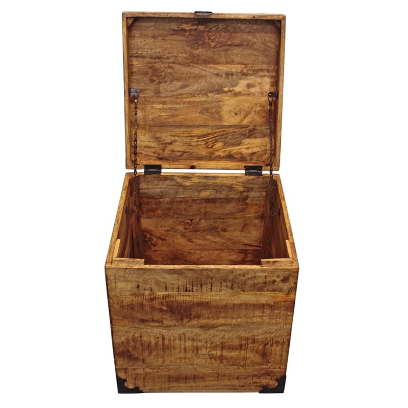Pemberly Row Solid Mango Wood Trunk End Table with Storage in Natural