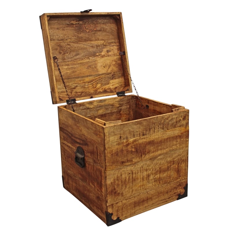 Pemberly Row Solid Mango Wood Trunk End Table with Storage in Natural
