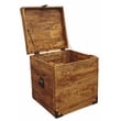Pemberly Row Solid Mango Wood Trunk End Table with Storage in Natural