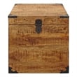 Pemberly Row Solid Mango Wood Trunk End Table with Storage in Natural