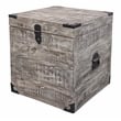 Pemberly Row Solid Mango Wood Trunk End Table with Storage in Gray
