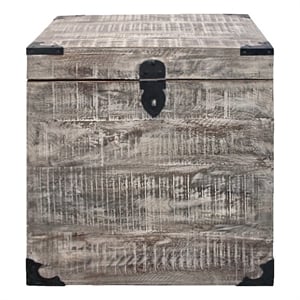 Pemberly Row Solid Mango Wood Trunk End Table with Storage in Gray