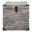 Pemberly Row Solid Mango Wood Trunk End Table with Storage in Gray