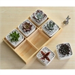 Pemberly Row 5x8 Nature-Inspired Cut Pile and Loop NZ Wool and Viscose Rug